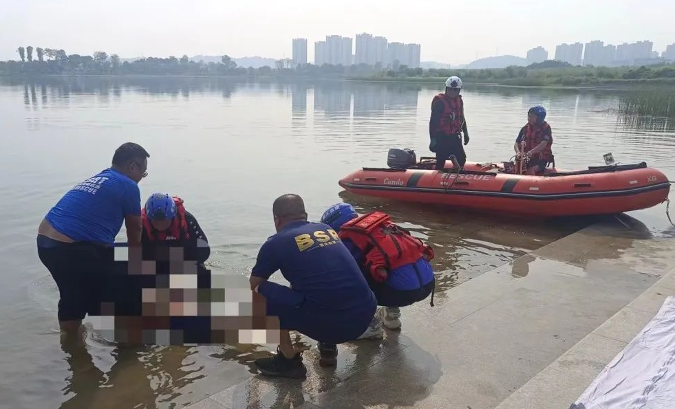 1726370590139046373.png image.png